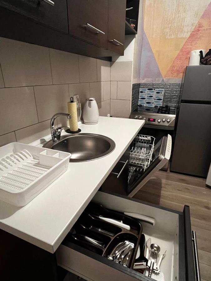 Apartman Sasha 2 Belgrade Luaran gambar