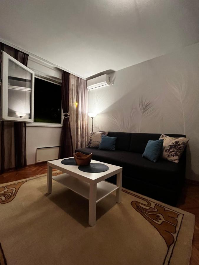 Apartman Sasha 2 Belgrade Luaran gambar