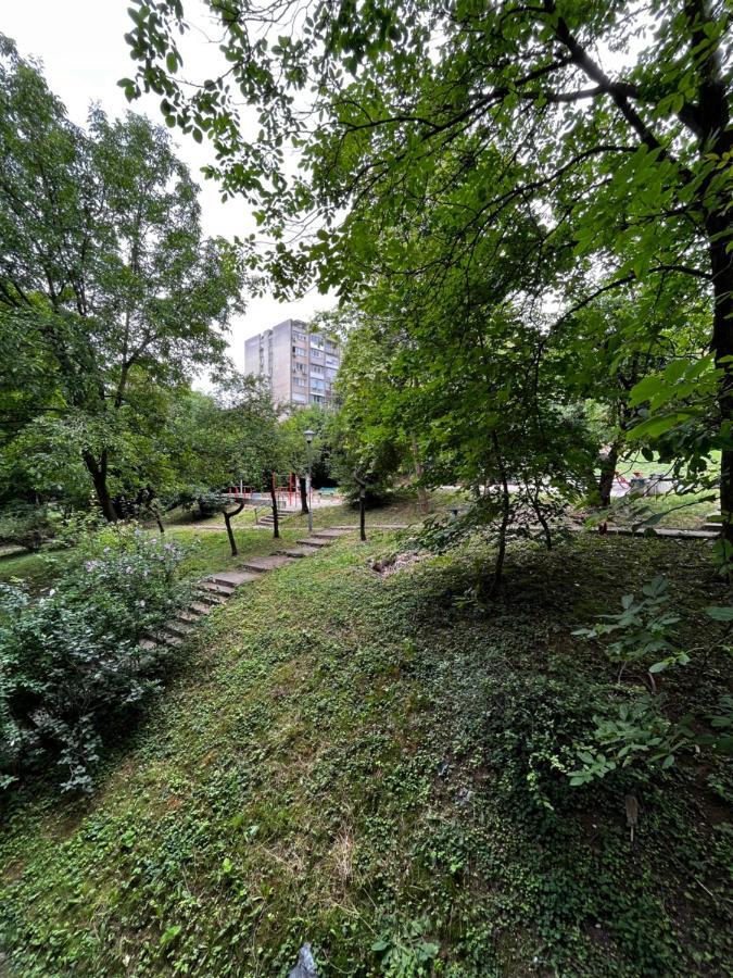 Apartman Sasha 2 Belgrade Luaran gambar