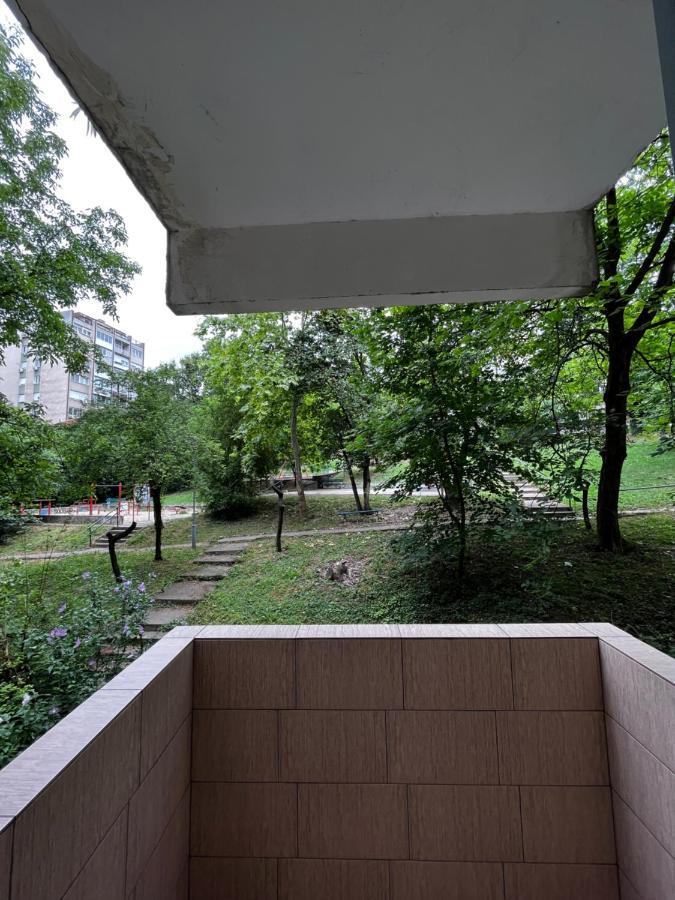 Apartman Sasha 2 Belgrade Luaran gambar
