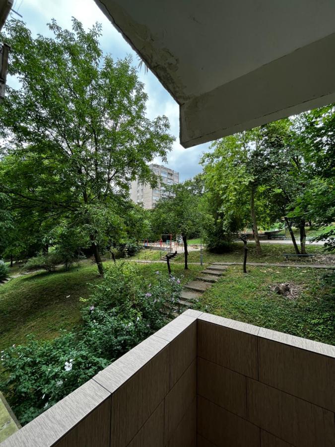 Apartman Sasha 2 Belgrade Luaran gambar