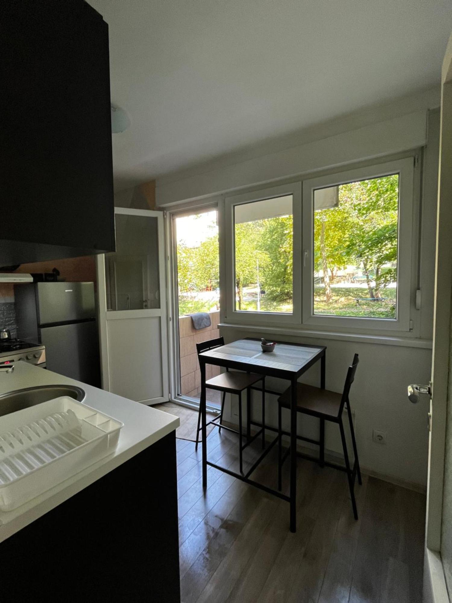 Apartman Sasha 2 Belgrade Luaran gambar